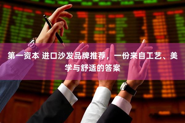 第一资本 进口沙发品牌推荐，一份来自工艺、美学与舒适的答案